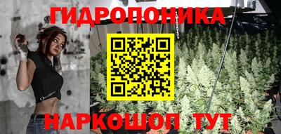 меф Шелехов
