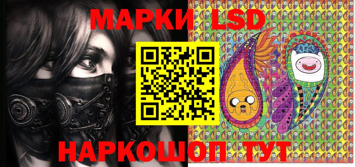 Конопля Грозный