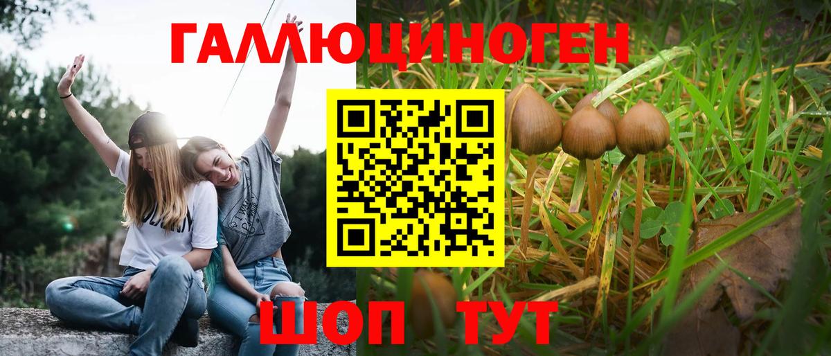 Галлюциногенные грибы прущие грибы Грозный
